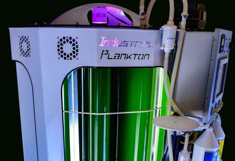 Bubble Column Bioreactor