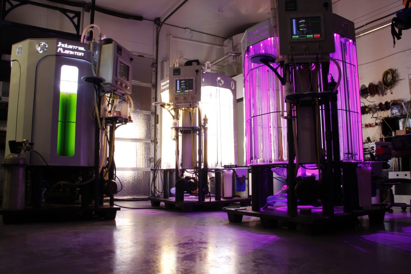 algae bioreactor for sale