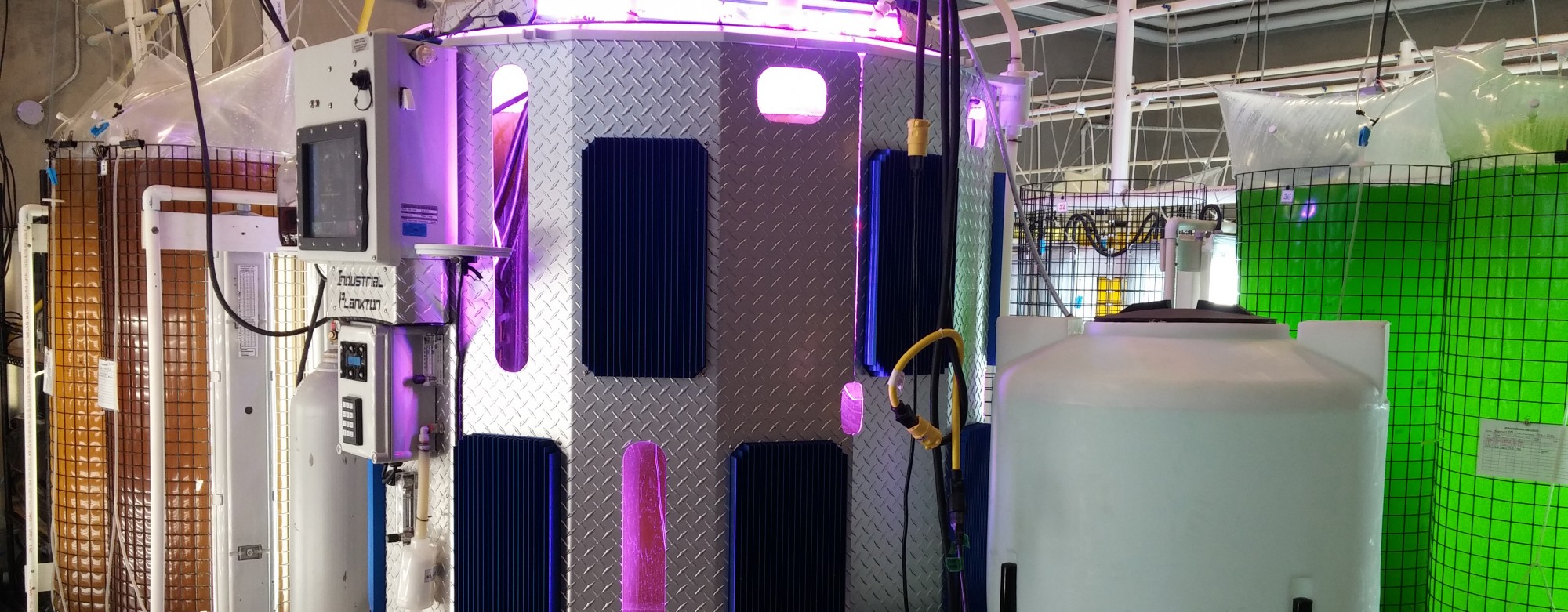 Hatchery Culture of Algae