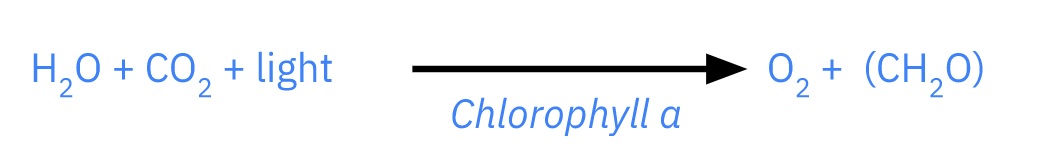 General equation for photosynthesis