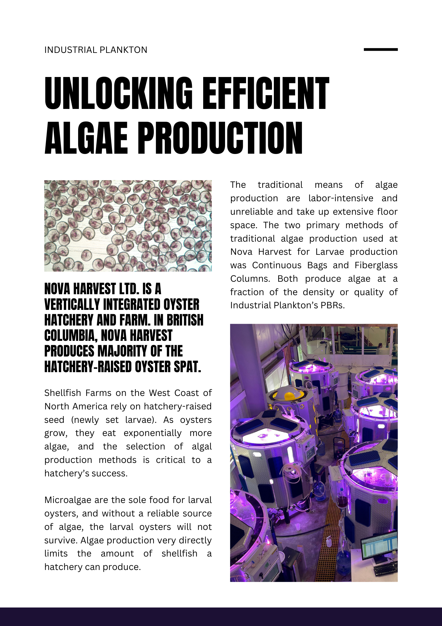 Efficient Algae Production