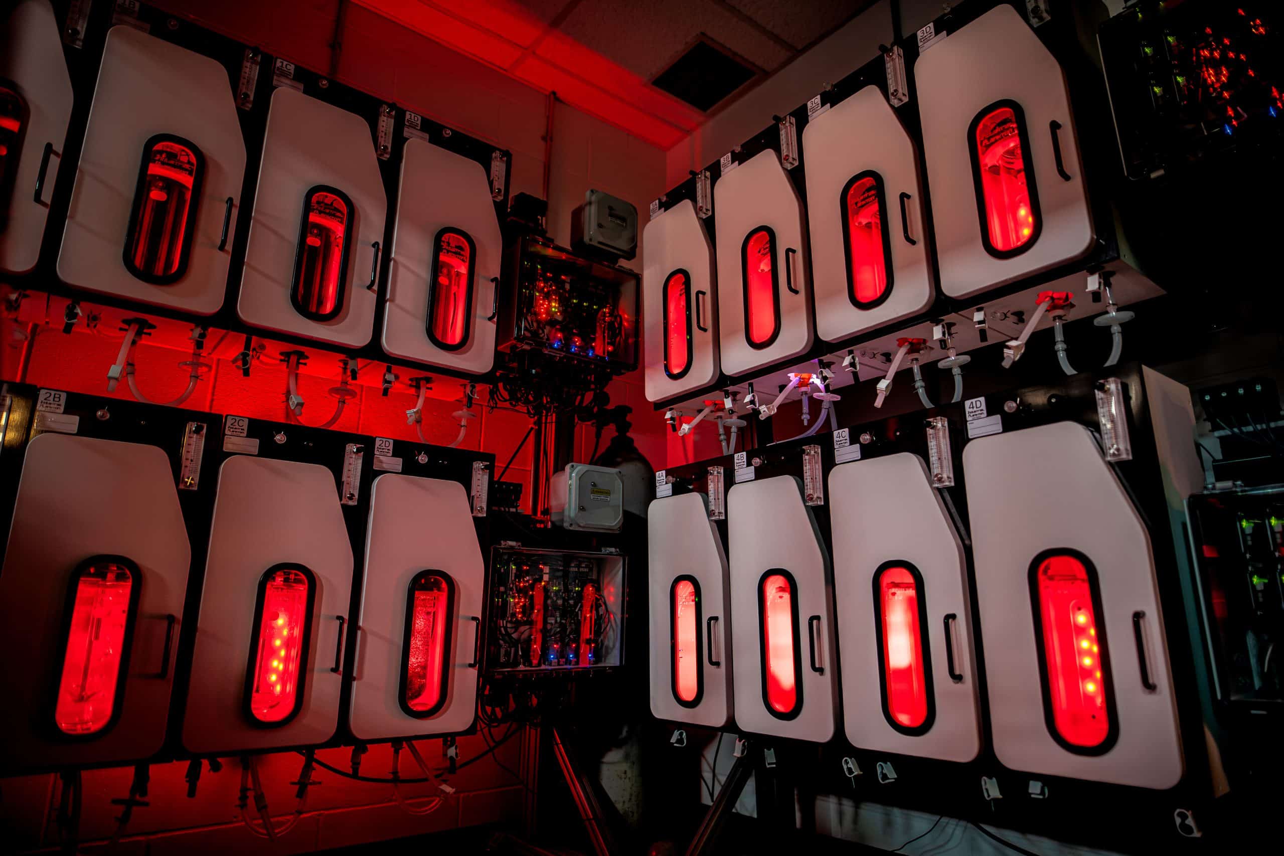 NIC Seaweed Bioreactors